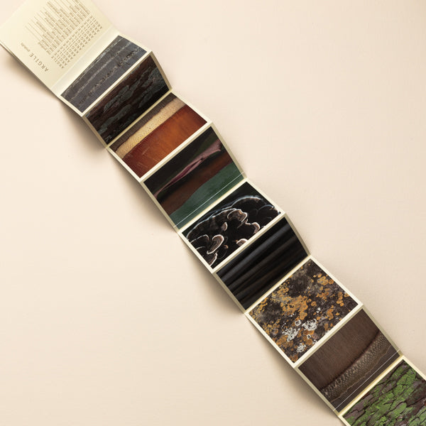 Nuancier collection Terre