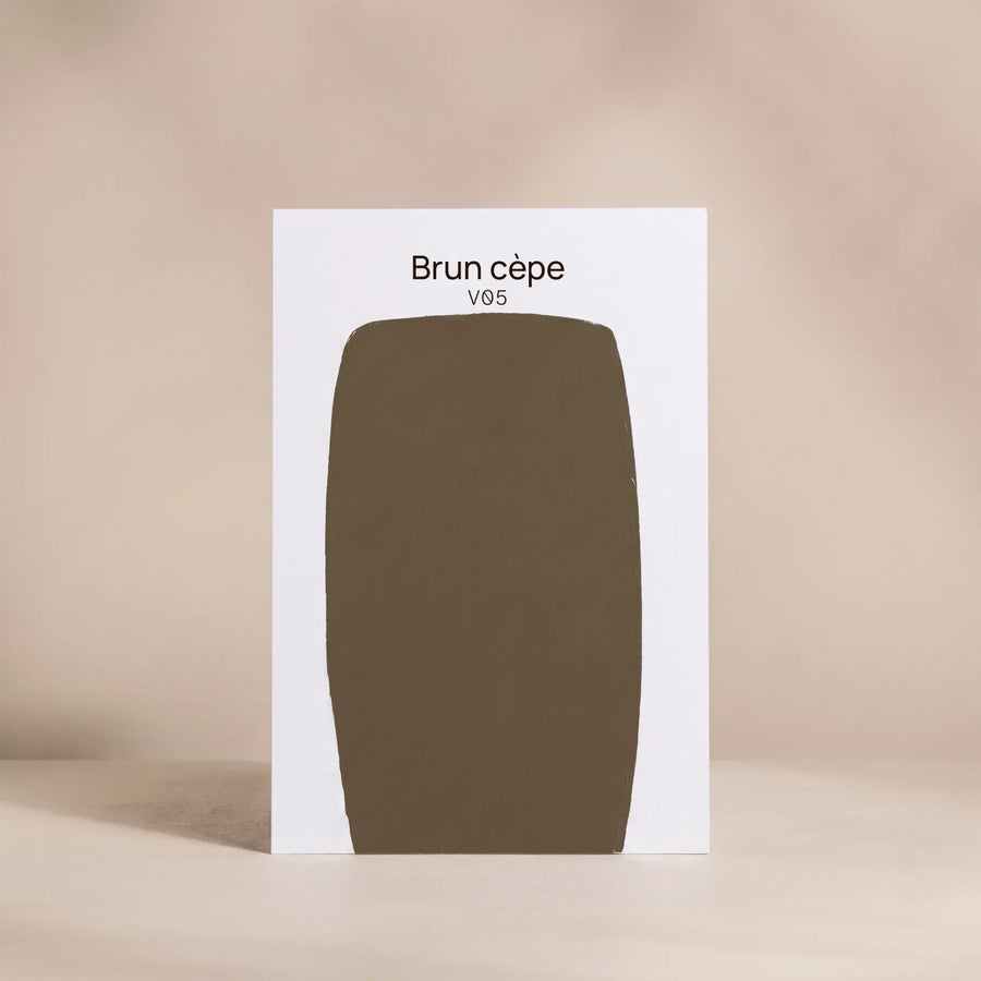 BRUN CEPE