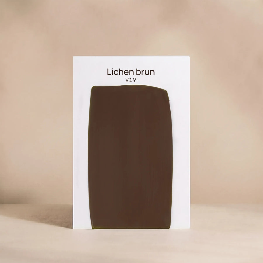 LICHEN BRUN