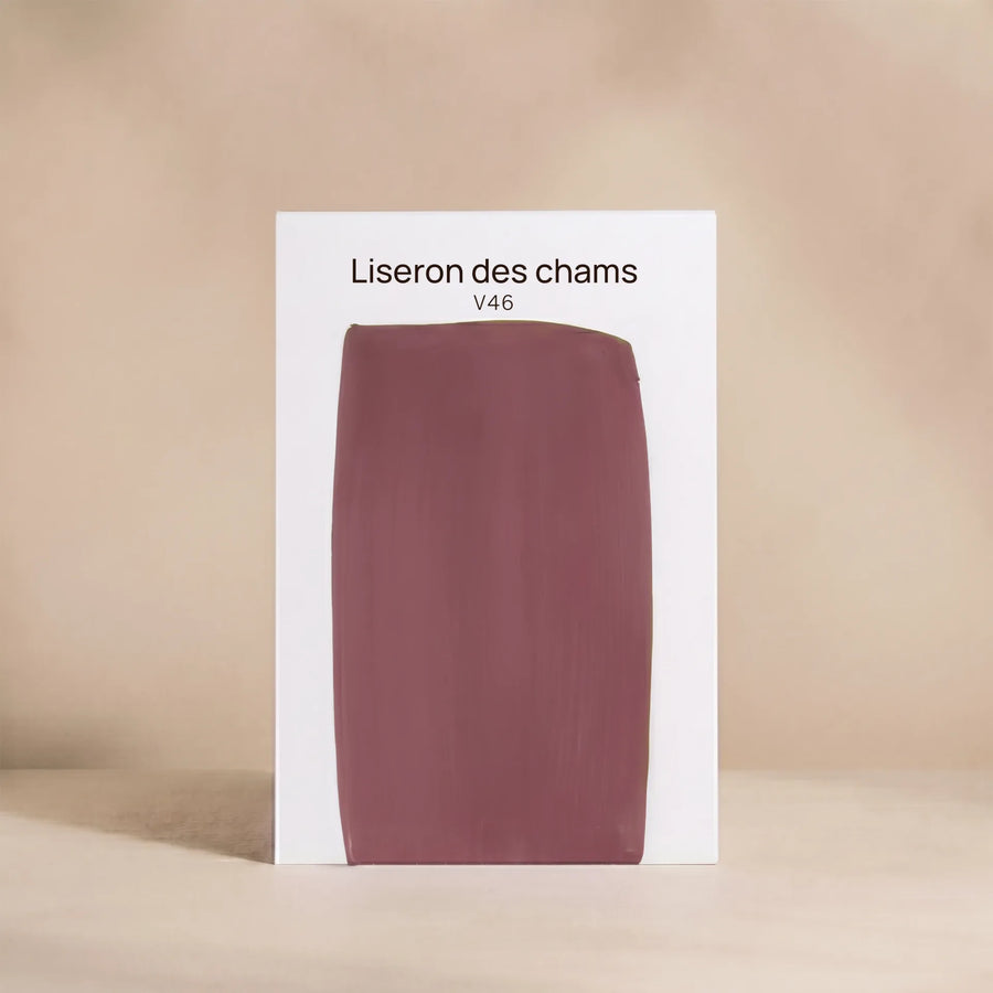 LISERON DES CHAMPS